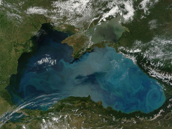 Phytoplankton bloom in the Black Sea. Image credit: NASA / GSFC / Jeff Schmaltz / MODIS Land Rapid Response Team.