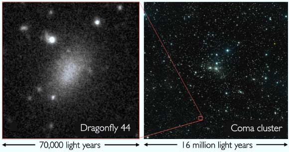 The ultra-diffuse galaxy Dragonfly 44. Image credit: Pieter van Dokkum / Roberto Abraham / Jean Brodie.