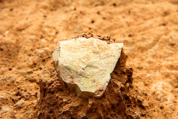 A stone tool during the process of excavation at the Lomekwi 3 site in Kenya. Image credit: MPK-WTAP.