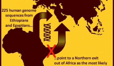 Genetic information from Ethiopians and Egyptians point to a Northern exit out of Africa as the most likely route by the ancestors of all Eurasians. Image credit: Luca Pagani.