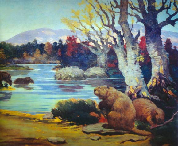 The beaver Microtheriomys brevirhinus lived in what is now John Day Basin, Oregon, about 29 million years ago. The image is an artist’s rendering of the extinct giant beaver Castoroides sp., by Charles R. Knight, 1904.