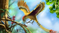Reconstruction of the fossil bird from the Cretaceous of the Crato Formation, Araripe Basin, Brazil. Image credit: Deverson Pepi, via novataxa.blogspot.com.