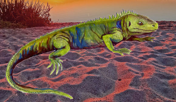 An artist’s reconstruction of Clevosaurus sectumsemper. Image credit: Katharine Whiteside / Sci-News.com.