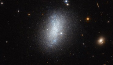 This image shows the dwarf irregular galaxy PGC 18431. Image credit: ESA /Hubble / NASA.