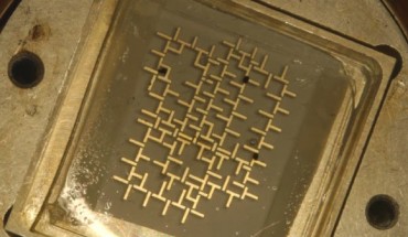 Stanford University bioengineers have developed a computer that operates on water droplets. Image credit: Kurt Hickman.