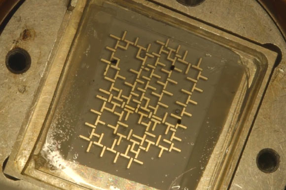 Stanford University bioengineers have developed a computer that operates on water droplets. Image credit: Kurt Hickman.