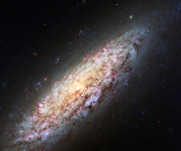 This image shows the LINER galaxy NGC 6503. Image credit: NASA / ESA / D. Calzetti, University of Massachusetts / H. Ford, Johns Hopkins University / Hubble Heritage Team.