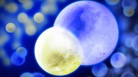 In this artist’s illustration, the sodium-potassium molecule is represented with frozen spheres of ice merged together: the smaller sphere on the left represents a sodium atom, and the larger sphere on the right is a potassium atom. Image credit: Jose-Luis Olivares / MIT.
