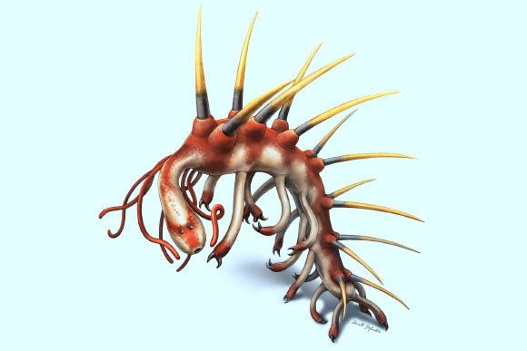 Reconstruction of Hallucigenia sparsa. Image credit: Danielle Dufault.