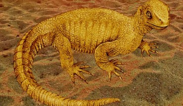 An artist’s reconstruction of Pappochelys. Image credit: Rainer Schoch / Stuttgart Natural History Museum / Sci-News.com.