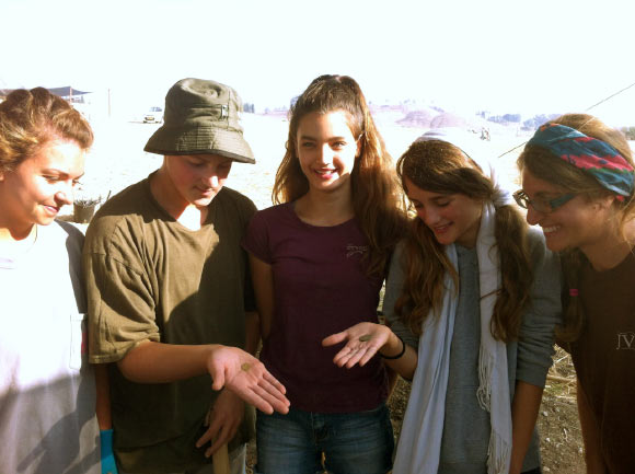 Jezreel Valley Regional Project archaeologists with their numismatic finds. Image credit: Jezreel Valley Regional Project.