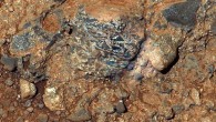 Igneous clast named Harrison embedded in a conglomerate rock in Gale crater shows elongated light-toned feldspar crystals. The mosaic merges an image from Curiosity’s Mastcam with higher-resolution images from ChemCam’s Remote Micro-Imager. Image credit: NASA / JPL-Caltech / LANL / IRAP / U. Nantes / IAS / MSSS.