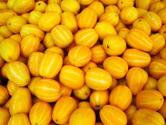 The Korean melon (Cucumis melo L. var. makuwa). Image credit: D. Hutchman / CC BY 2.0.