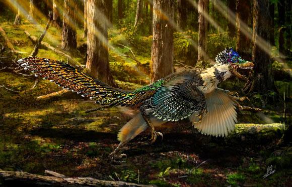 An artist’s impression of Zhenyuanlong suni. Image credit: Chuang Zhao.