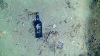 One of nine glass bottles observed at the site of a centuries-old shipwreck off the North Carolina coast. Image credit: WHOI.