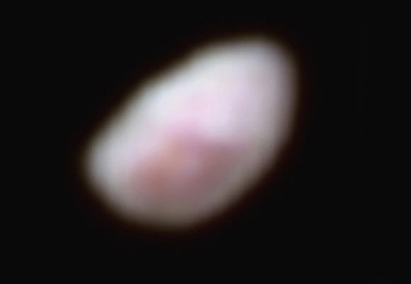 Nix, shown here in enhanced color as imaged by the Ralph instrument aboard New Horizons, has a reddish spot. The picture was snapped at a distance of 102,000 miles (165,000 km). It shows features as small as 2 miles (3 km) across. The data were obtained on the morning of July 14 and received on the ground on July 18. Image credit: NASA / Johns Hopkins University Applied Physics Laboratory / Southwest Research Institute.