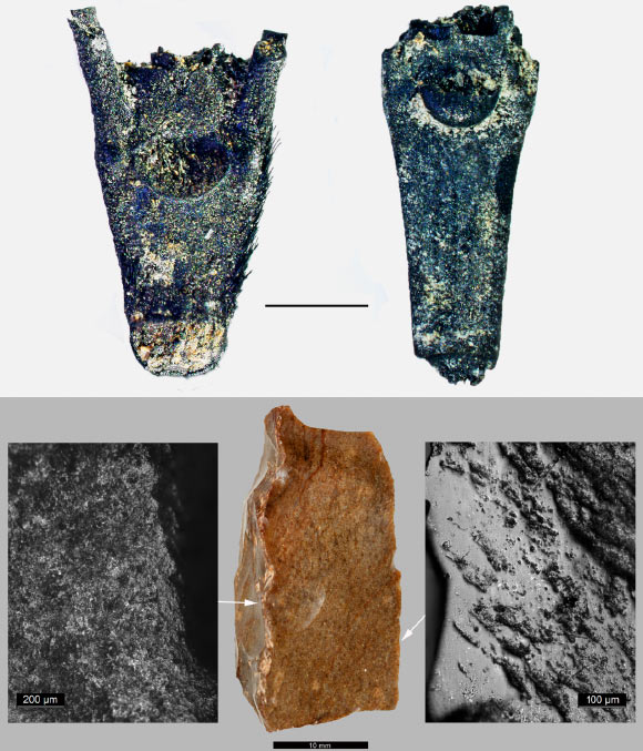 Top: wild-type (left) and domestic-type (right) scars in rachises of wild barley (Hordeum spontaneum) from Ohalo II. Scale bar – 1 mm. Bottom: sickle blade from the site. Scale bar – 10 mm. Image credit: Snir A et al.