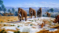 This image depicts a Pleistocene landscape in northern Spain with woolly mammoths (Mammuthus primigenius), equids, a woolly rhinoceros (Coelodonta antiquitatis), and European cave lions (Panthera leo spelaea). Image credit: Mauricio Anton.