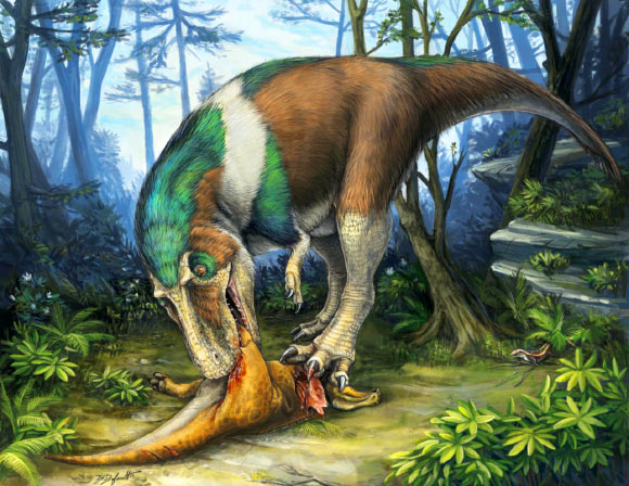 Cretaceous tyrannosaurid dinosaur Gorgosaurus using its specialized teeth for feeding on a young Corythosaurus. Image credit: Danielle Dufault.