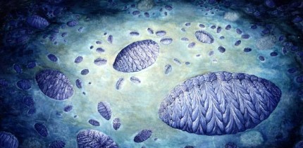 Artist’s reconstruction of the Fractofusus community: the bottom right features a large Fractofusus around which there are 5 to 8 medium specimens clustered; each of the medium specimens also has small specimens clustered around them; the small specimens therefore form an independent double cluster pattern, namely clusters of clusters. Image credit: C.G. Kenchington.