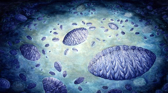 Artist’s reconstruction of the Fractofusus community: the bottom right features a large Fractofusus around which there are 5 to 8 medium specimens clustered; each of the medium specimens also has small specimens clustered around them; the small specimens therefore form an independent double cluster pattern, namely clusters of clusters. Image credit: C.G. Kenchington.