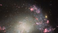 The object in this Hubble image is a barred spiral galaxy called NGC 428. Image credit: NASA / ESA / Hubble / S. Smartt, Queen’s University Belfast.