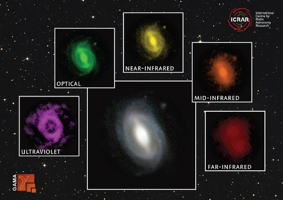A galaxy from the GAMA survey observed at different wavelengths from the far UV to the far IR. Image credit: ICRAR / GAMA.