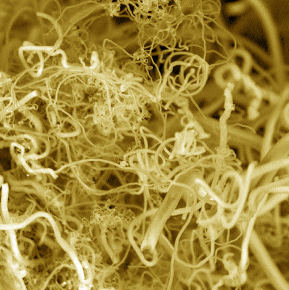 This false-color image shows carbon nanofibers. Image credit: Stuart Licht.