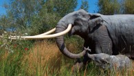 The extinct straight-tusked elephant (Palaeoloxodon antiquus) is one of the many large mammals that the new study estimates would have occurred in northern Europe if modern humans had never existed. Image credit: Apotea / CC BY-SA 3.0.