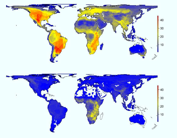 Top: natural diversity of large mammals as it would appear without the impact of Homo sapiens. The figure shows the variation in the number of large mammals (45 kg or larger) that would have occurred per 100 x 100 km grid cell. The numbers on the scale indicate the number of species. Bottom: current diversity of large mammals. It can clearly be seen that large numbers of species virtually only occur in Africa, and that there are generally far fewer species throughout the world than there could have been. Image credit: Søren Faurby.