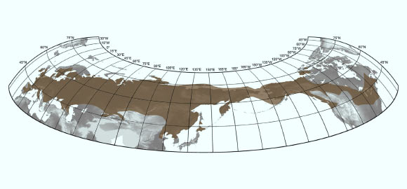 Maximum extension of Mammuthus primigenius during the Late Pleistocene based on the current fossil record. Image credit: Ralf-Dietrich Kahlke, doi: 10.1016/j.quaint.2015.03.023.