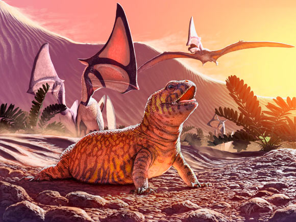 Gueragama sulamericana inhabited a desert environment. This lizard was found in an ancient oasis along with pterosaurs of the species Caiuajara dobruskii. Image credit: Julius Csotonyi.