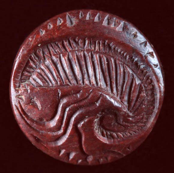 A seal depicting a nautilus. Image credit: Angelos Delivorias / Stavros Vlizos / Greek Ministry of Culture.