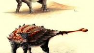 Gobisaurus, an ankylosaur with a stiff tail but no knob of bone at the end, compared with Ziapelta, an ankylosaur with a fully developed tail club. Image credit: Sydney Mohr.