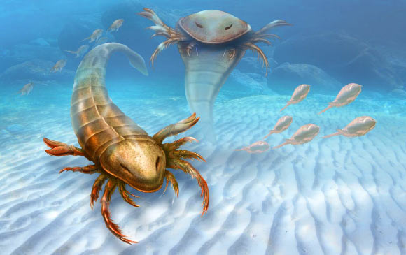 This is an artist’s rendering of Pentecopterus decorahensis. Image credit: Patrick Lynch / Yale University.
