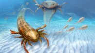 This is an artist’s rendering of Pentecopterus decorahensis. Image credit: Patrick Lynch / Yale University.
