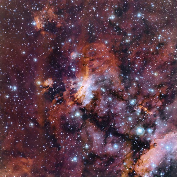 This image snapped by the Wide Field Imager on the 2.2-m MPG/ESO telescope reveals a detailed view of part of the Prawn Nebula, also known as Gum 56. It shows clumps of hot new-born stars nestled in among the clouds that make up the nebula. Image credit: ESO.