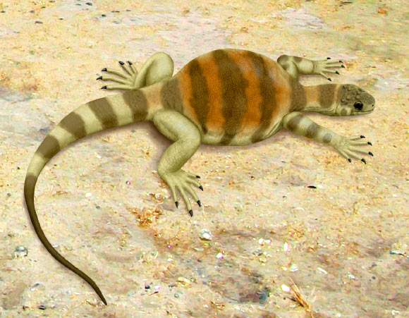 Life restoration of Eunotosaurus africanus. Image credit: Smokeybjb / CC BY-SA 3.0.