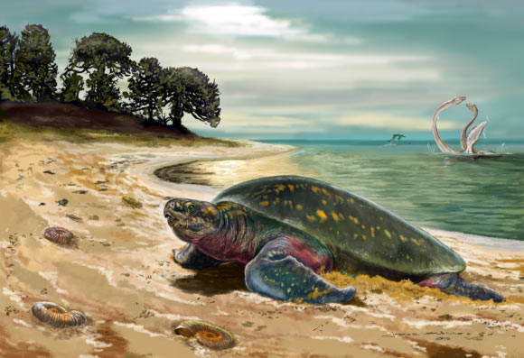 This is what the habitat of Desmatochelys padillai might have looked like 120 million years ago. Image credit: Jorge Blanco.