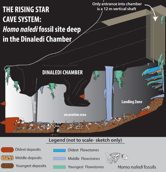 Rising Star cave. Image credit: Wits University.