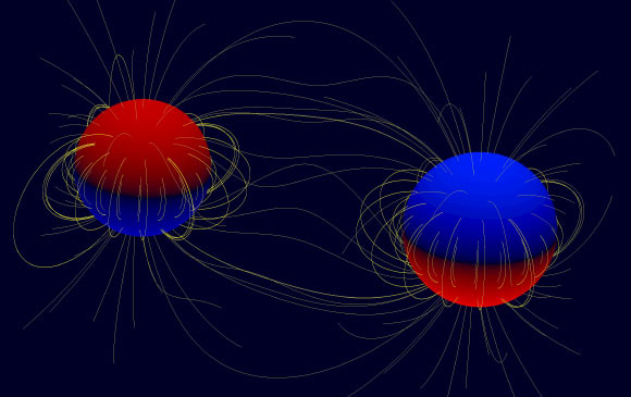 The polarity of the star’s surface magnetic field, north or south, is indicated by red and blue respectively. Yellow lines indicate the magnetic field lines running from the stellar surfaces. Image credit: Volkmar Holzwarth / KIS, Freiburg.