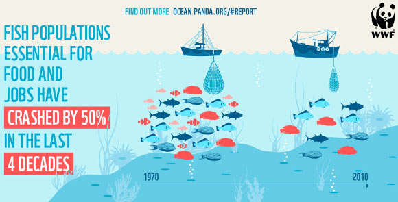 Decline in fish populations. Image credit: WWF.