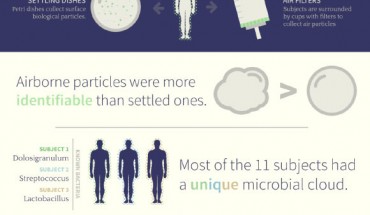 We each give off millions of bacteria from our human microbiome to the air around us every day, and that cloud of bacteria can be traced back to an individual. Image credit: Viputheshwar Sitaraman / Draw Science.