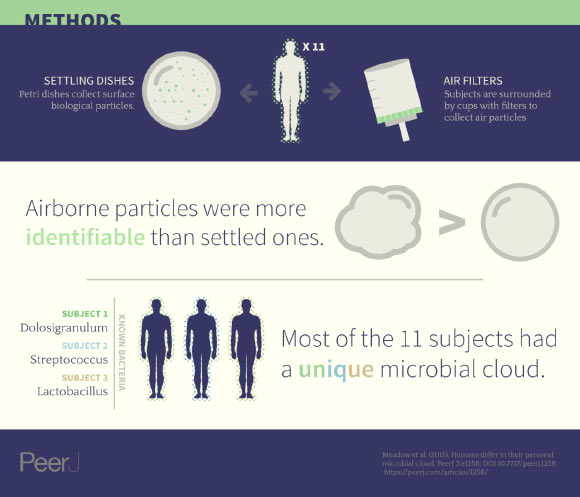 We each give off millions of bacteria from our human microbiome to the air around us every day, and that cloud of bacteria can be traced back to an individual. Image credit: Viputheshwar Sitaraman / Draw Science.