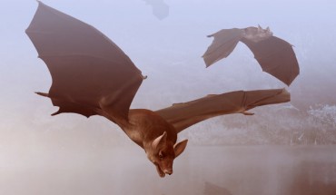 Life reconstruction of Palaeochiropteryx sp. Image credit: Obsidian Soul / CC BY-SA 3.0 / adapted by Sci-News.com.