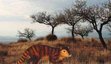 An artistic life reconstruction of Kimbetopsalis simmonsae. Image credit: Thomas E. Williamson et al / Unsplash / Sci-News.com.