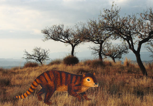 An artistic life reconstruction of Kimbetopsalis simmonsae. Image credit: Thomas E. Williamson et al / Unsplash / Sci-News.com.