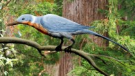 Shanweiniao cooperorum, a long-snouted enantiornithine bird from the Early Cretaceous of China. Image credit: Nobu Tamura / CC BY 3.0.