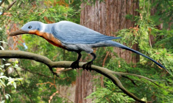 Shanweiniao cooperorum, a long-snouted enantiornithine bird from the Early Cretaceous of China. Image credit: Nobu Tamura / CC BY 3.0.