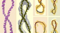 This image shows the structure of DNA calculated with the supercomputer simulations (in color) superimposed upon the electron cryo-tomography data (in white or yellow); one can see that the familiar double helix has been either simply bent into a circle or twisted into a figure-8. Image credit: Thana Sutthibutpong.